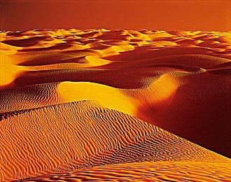 《最后的生还者：重制版》艾莉可更换服装 还与其他IP联动